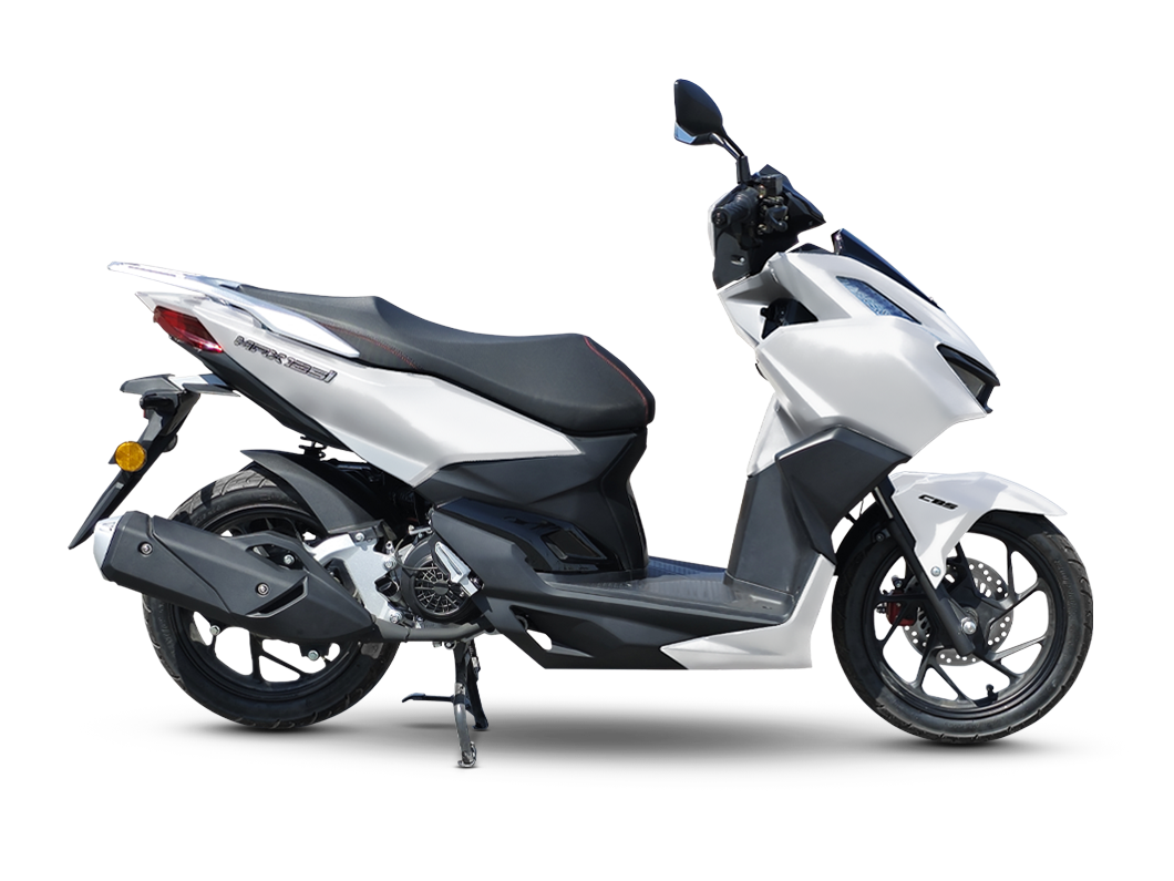 Falcon Turtle 50